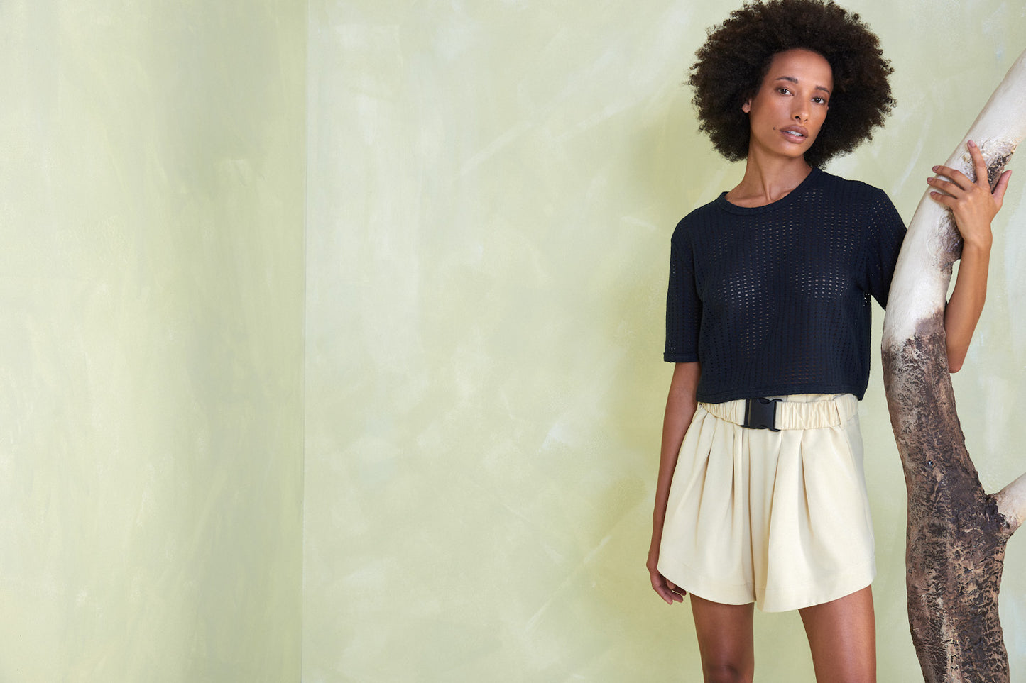 Lirio Shorts