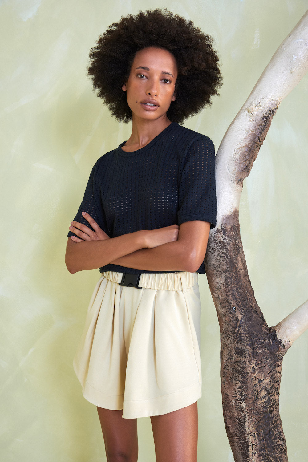 Lirio Shorts