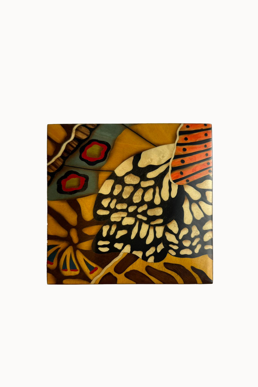 Marquetry Butterfly Box