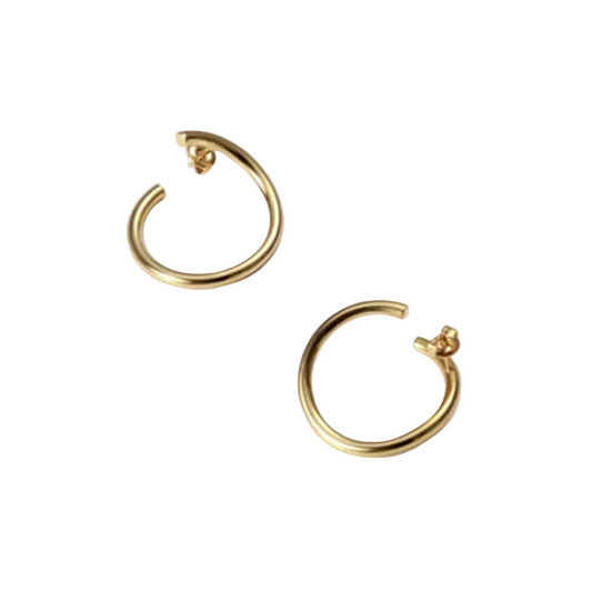 Circular Earring